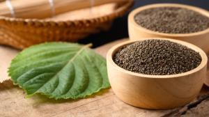 Trápí vás alergie? Zkuste čaje z černé kopřivy. Tahle asijská bylinka toho umí ještě víc Trápí vás alergie? Zkuste čaje z černé kopřivy. Tahle asijská bylinka toho umí ještě víc