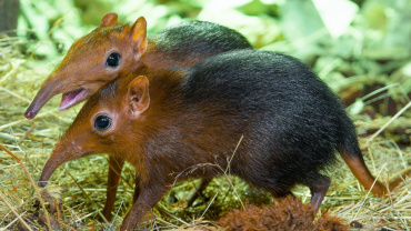 Zoo Praha