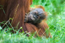 Zoo Praha