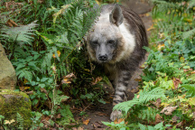 Zoo Praha